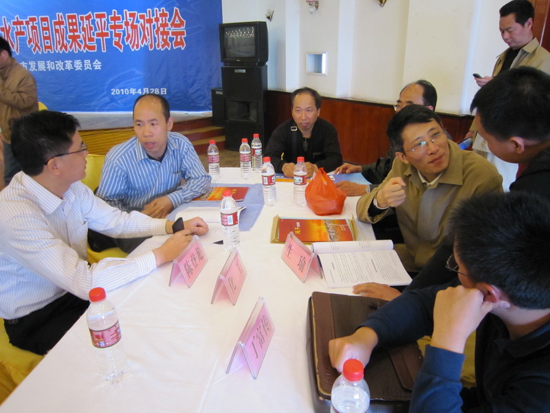 企业代表与江南（中国）教授现场交流